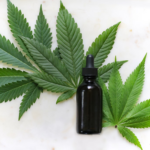 How CBD Interacts with the Endocannabinoid System