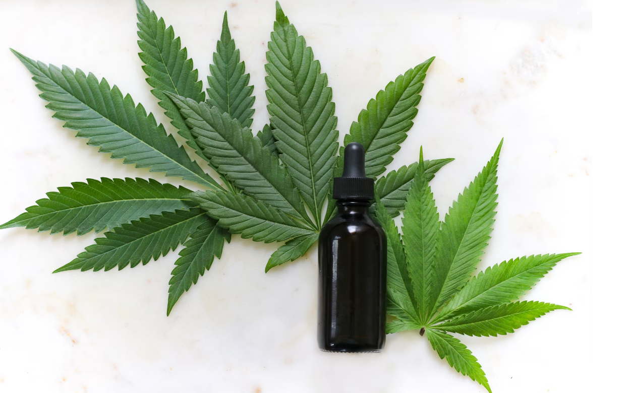 How CBD Interacts with the Endocannabinoid System