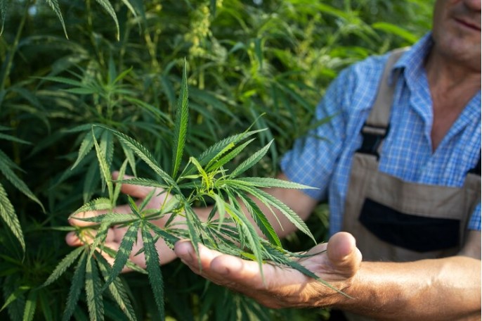 CBD and Yoga: Enhancing Mind-Body Connection