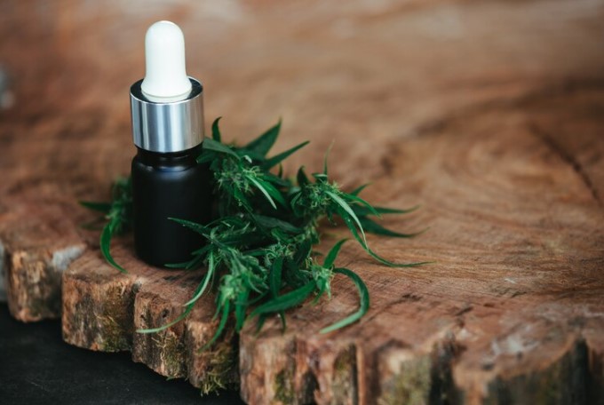 Understanding the Synergistic Effects of CBD and THC