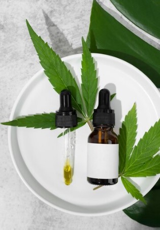 CBD and Gut Health: Balancing the Microbiome